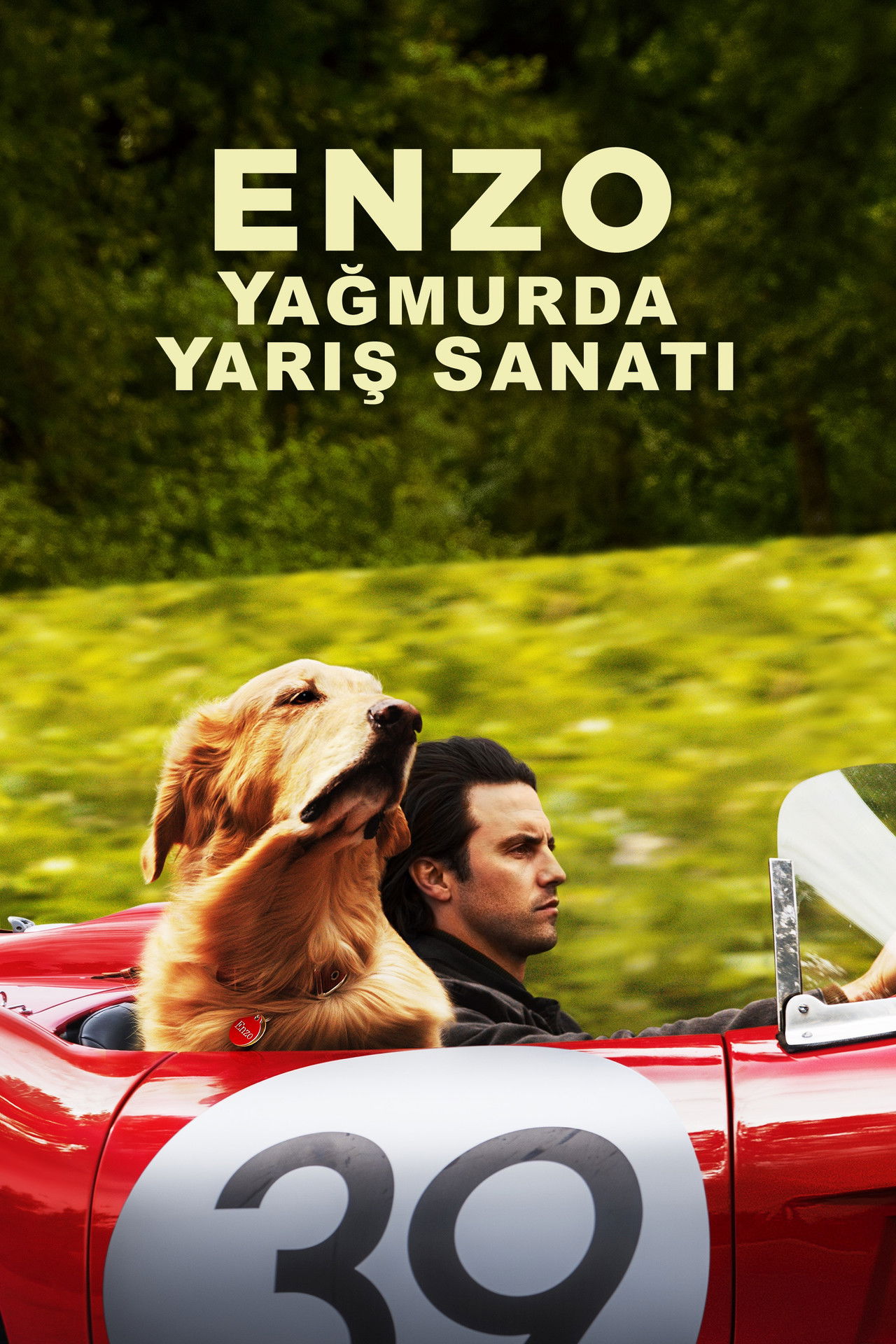 Enzo Yağmurda Yarış Sanatı
